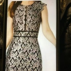 Embroidered Lace  Dress , Very Fancy